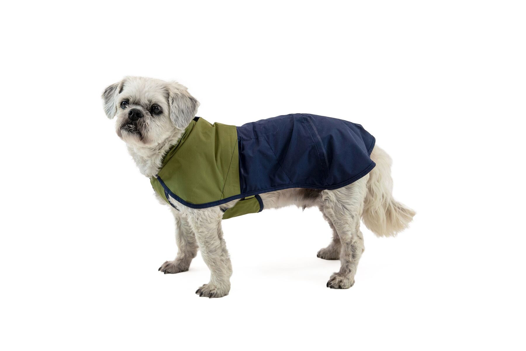 Ruffwear Dog Rain Coat: Sun Shower Jacket