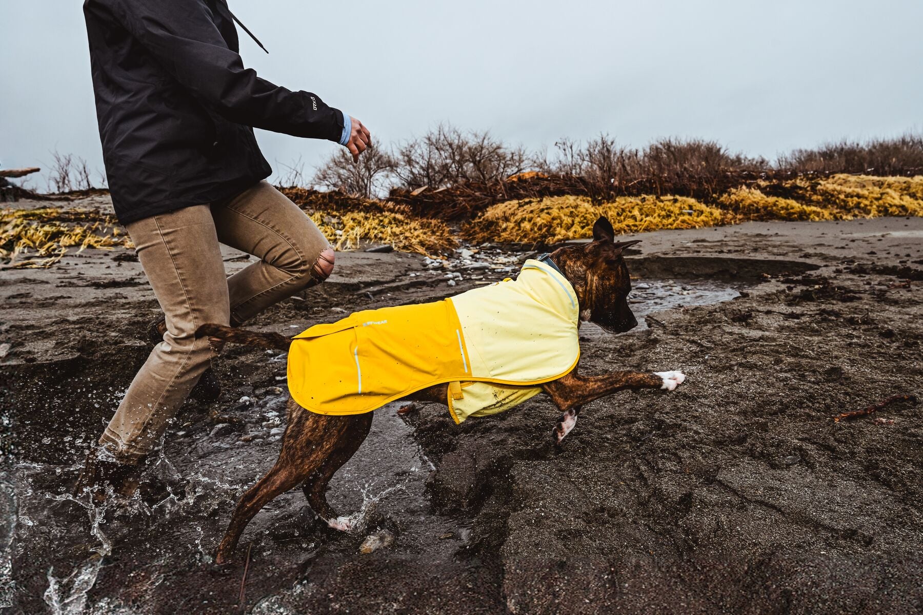 Ruffwear Dog Rain Coat: Sun Shower Jacket