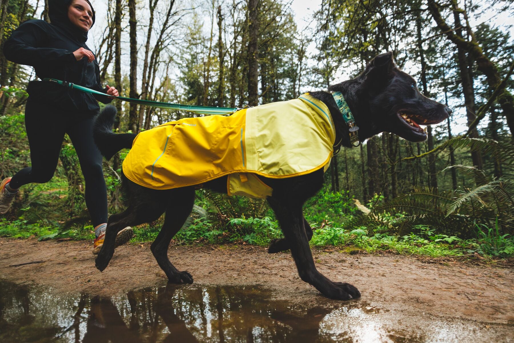 Ruffwear Dog Rain Coat: Sun Shower Jacket