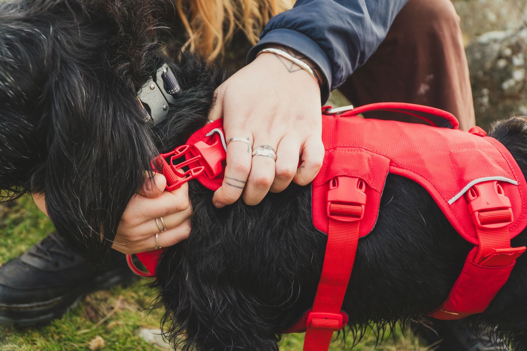 Ruffwear Dog Harness with Neck Buckle and Handle: Web Master