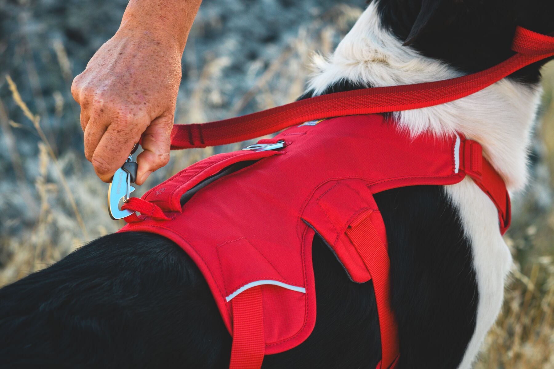Ruffwear Dog Harness with Neck Buckle and Handle: Web Master