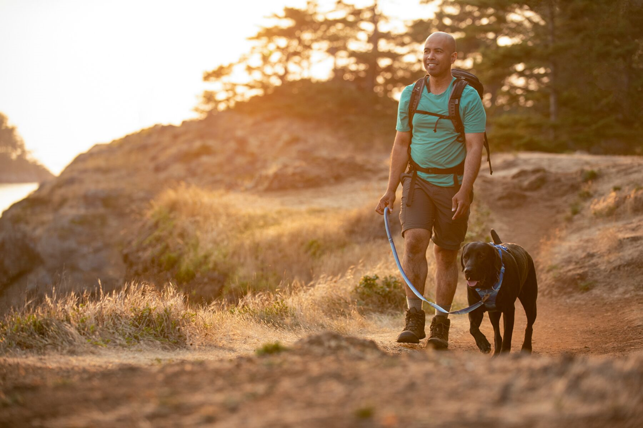 Ruffwear Dog No-Pull Harness, Front Range