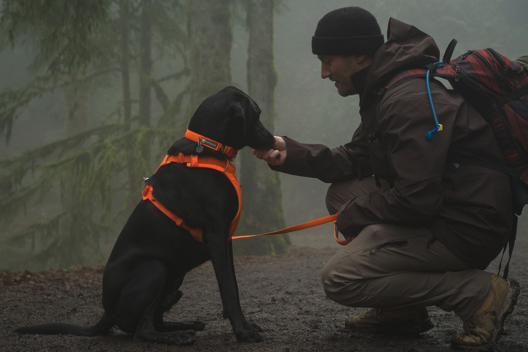 Ruffwear Dog No-Pull Harness, Front Range (new colours)
