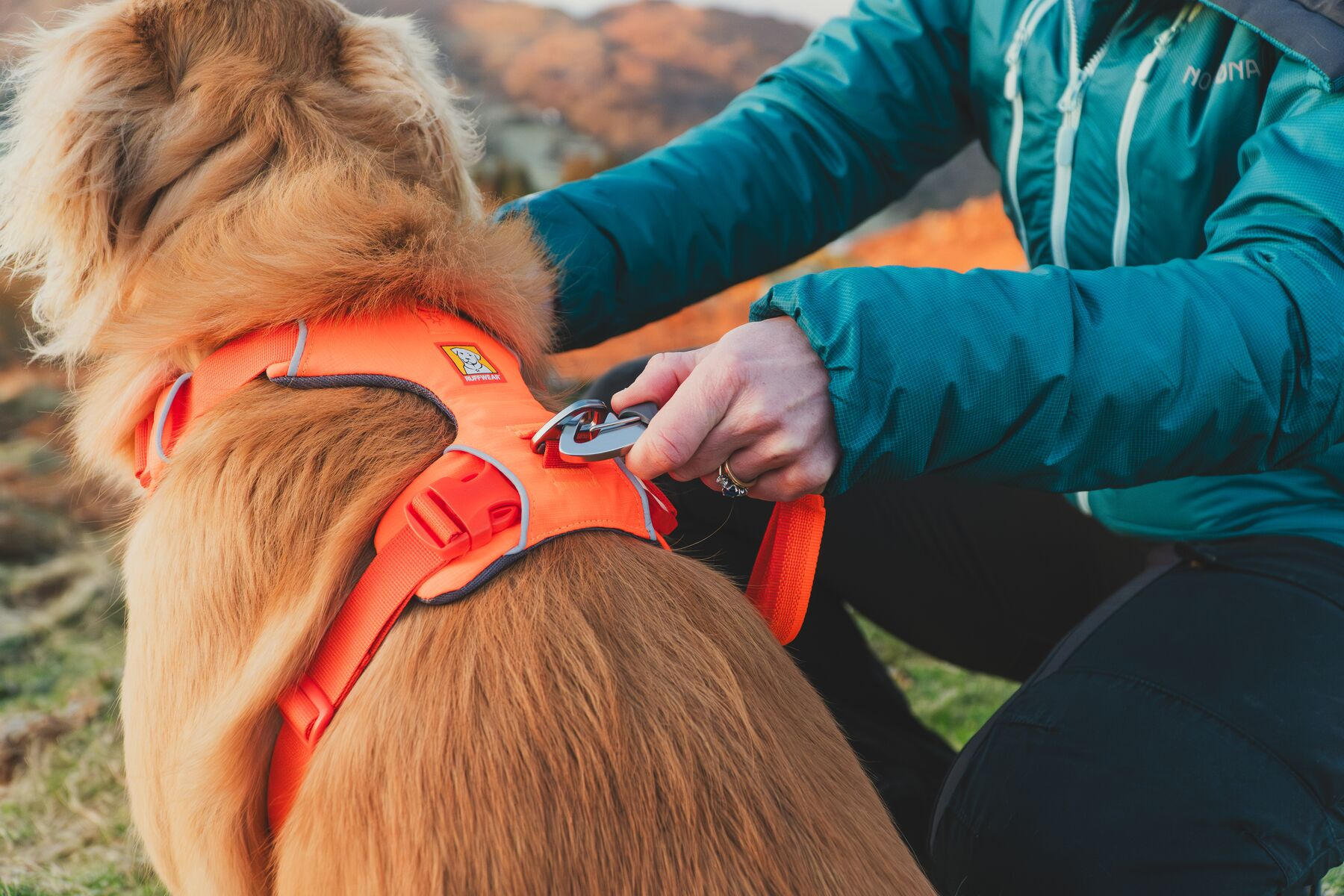 Ruffwear Dog No-Pull Harness, Front Range (new colours)