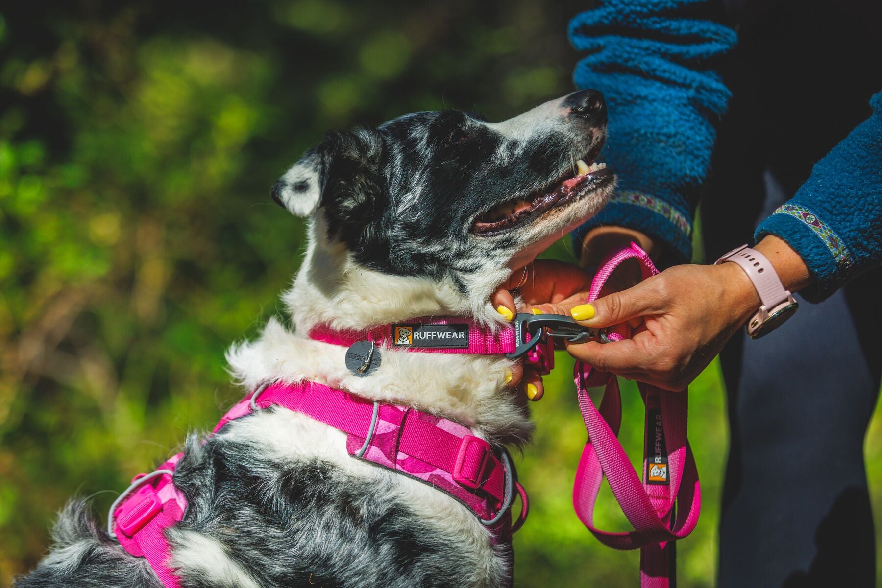 Ruffwear Dog No-Pull Harness, Front Range