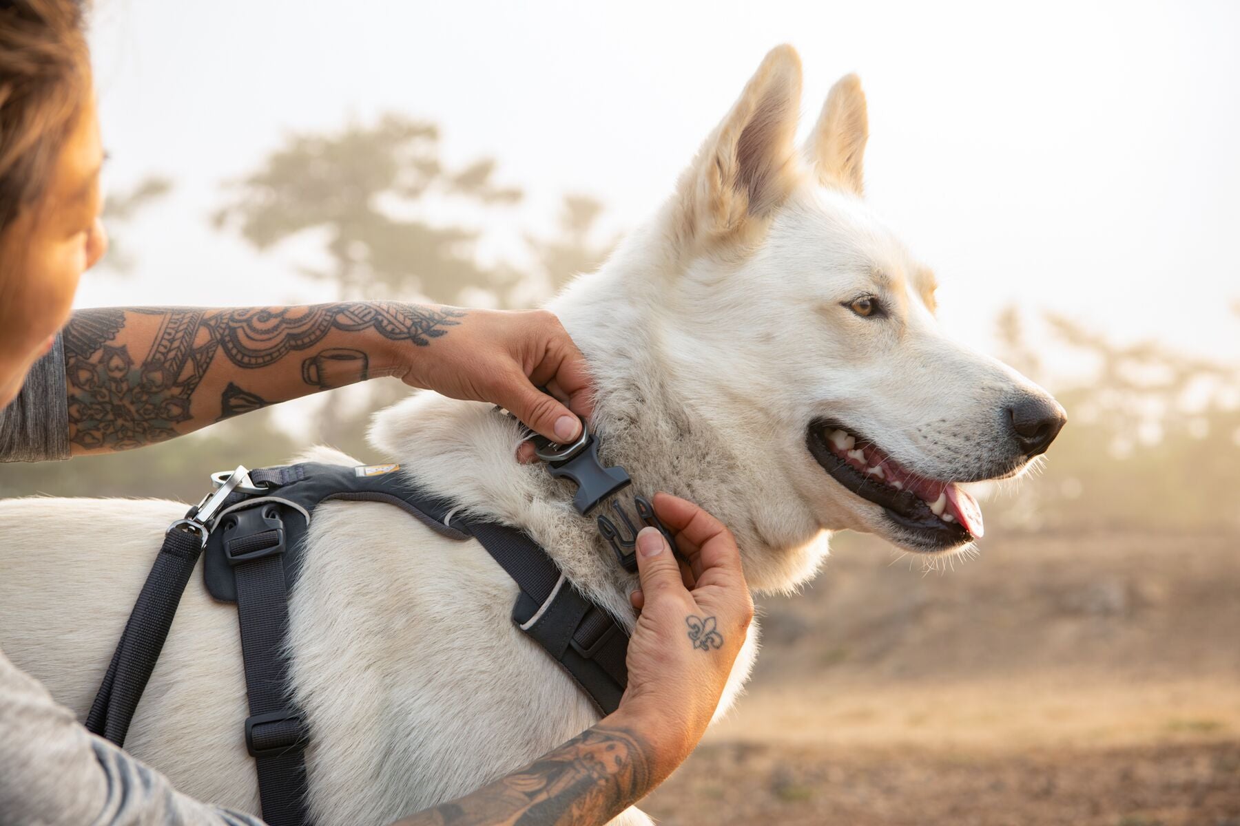Premium Ruffwear Front Range everyday dog collar made from eco-friendly, colour-fast recycled webbing.