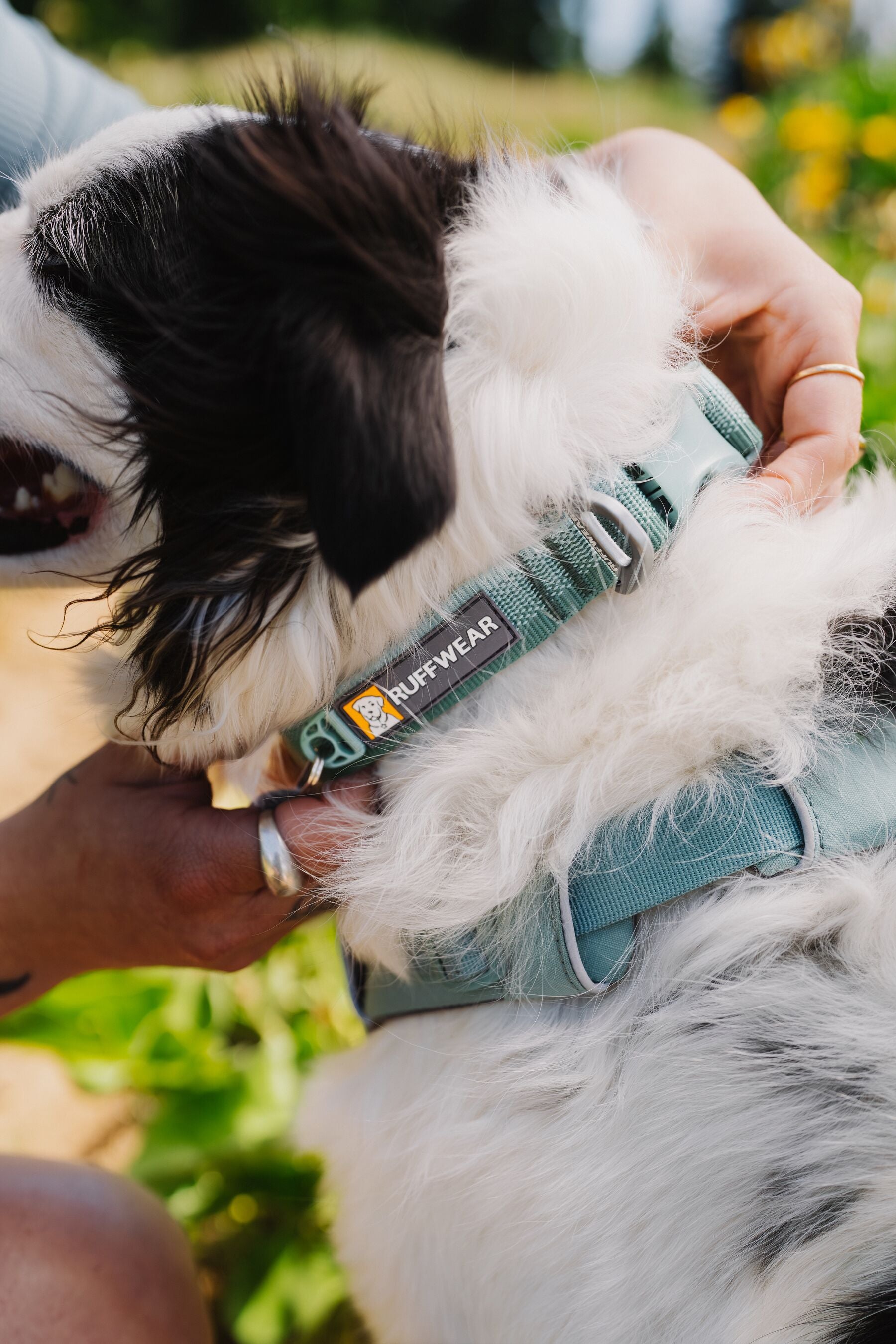 Premium Ruffwear Front Range everyday dog collar made from eco-friendly, colour-fast recycled webbing.