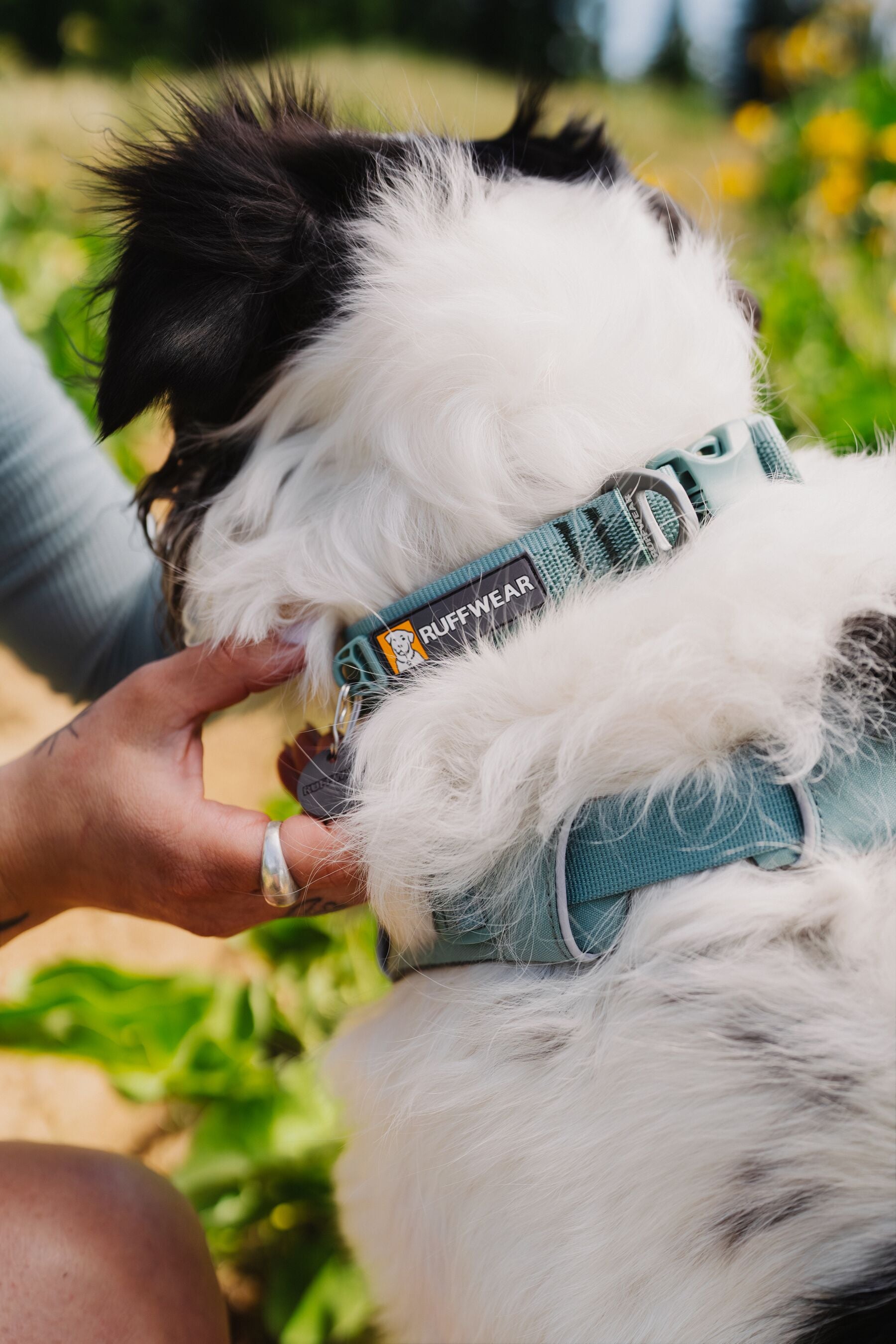 Premium Ruffwear Front Range everyday dog collar made from eco-friendly, colour-fast recycled webbing.
