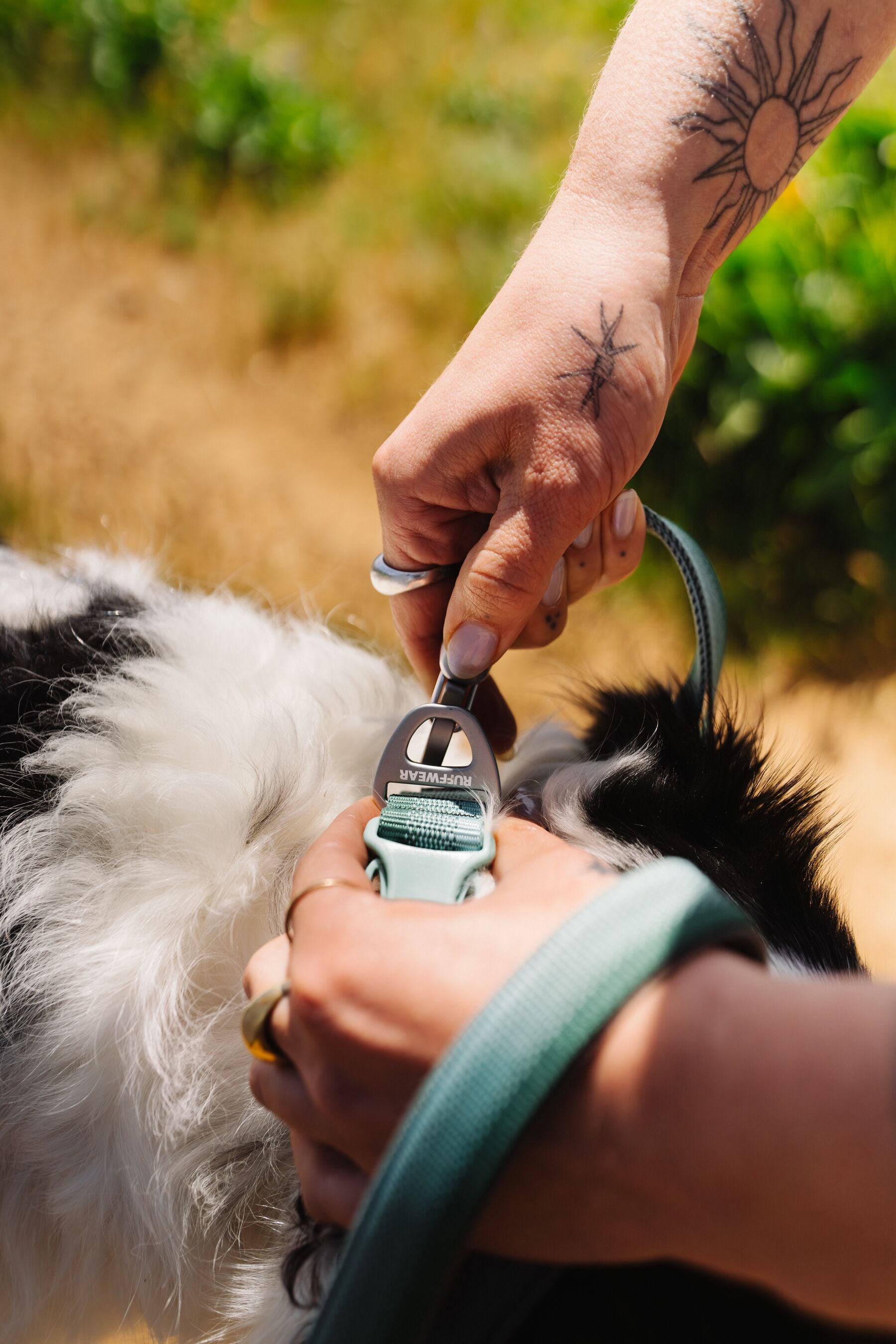Premium Ruffwear Front Range everyday dog collar made from eco-friendly, colour-fast recycled webbing.