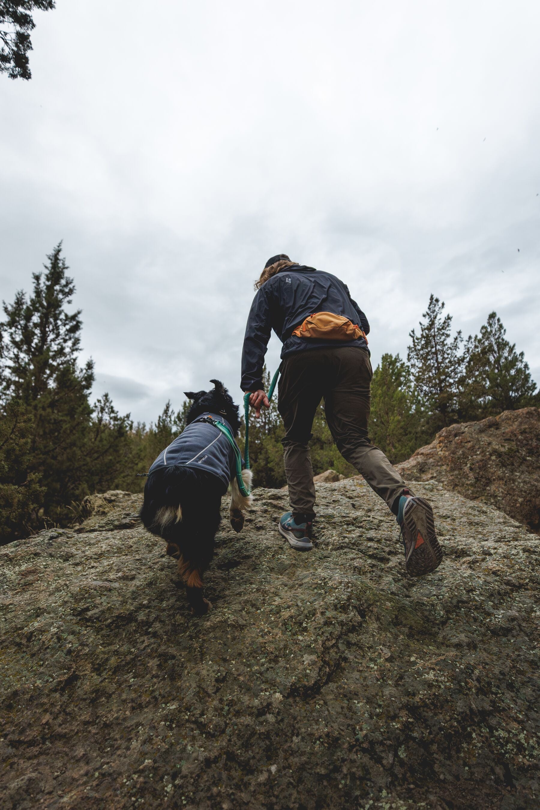 Ruffwear Home Trail Hip Pack for Dog Treats or Walking Essentials