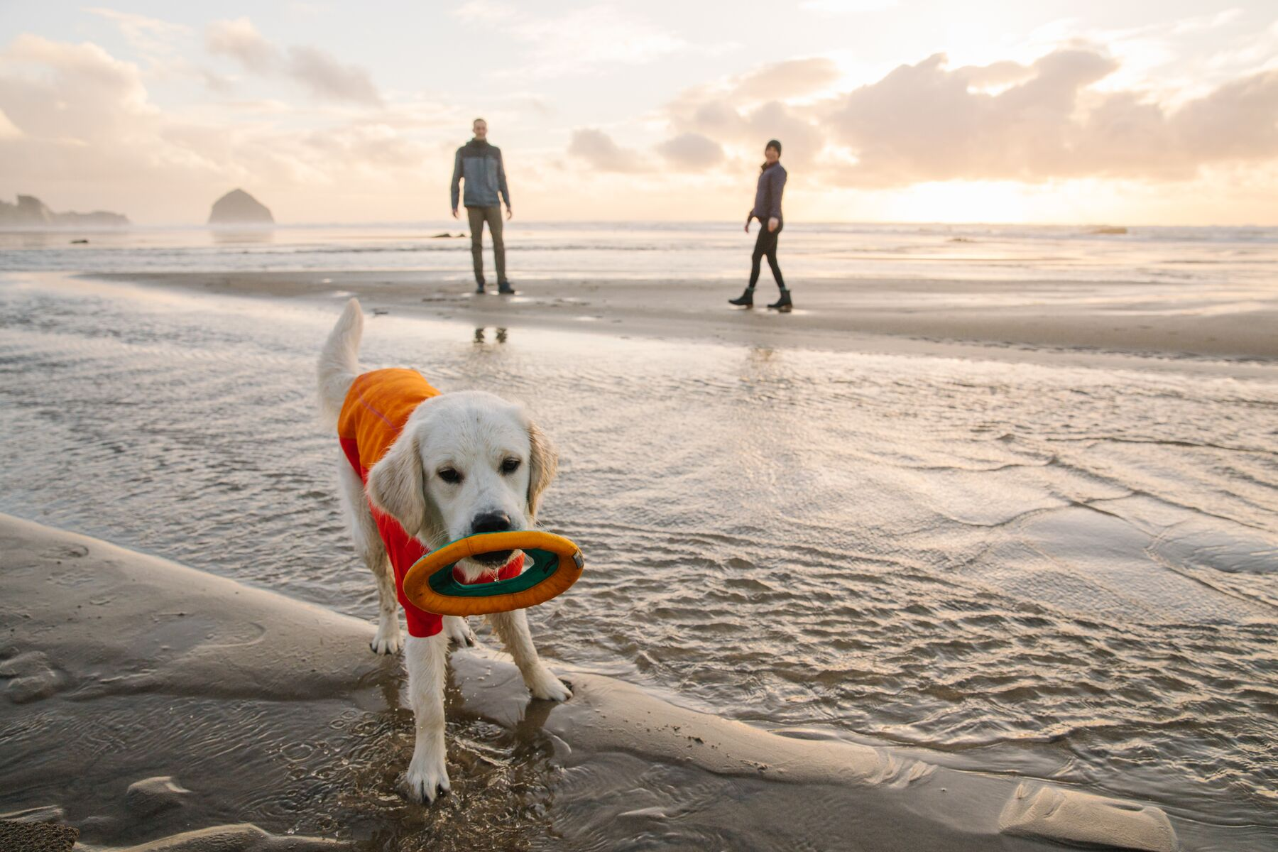 Ruffwear Hydro Plane Floating Throw Dog Toy (New Colours)
