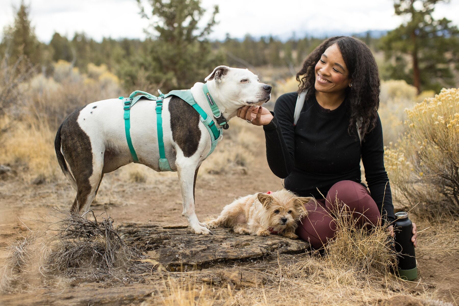 The ultralight Ruffwear Hi & Light minimalist dog collar showing its strong side-release buckle and aluminum D-ring