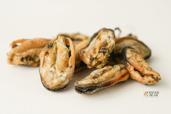 Dog Treats, Dehydrated Green-lipped Mussels