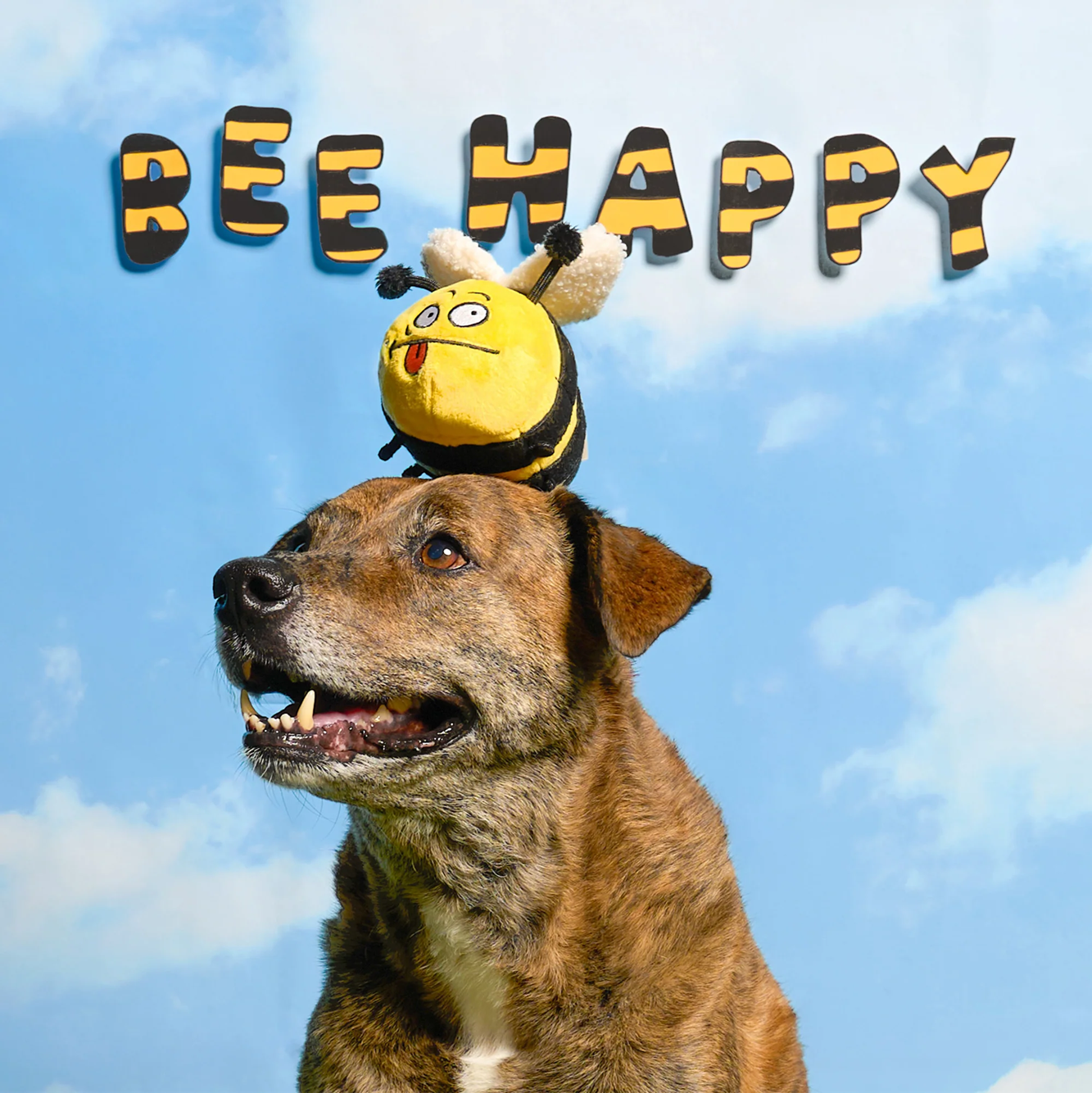 Squeaky Interactive Nosework Dog Toy, Bee Happy