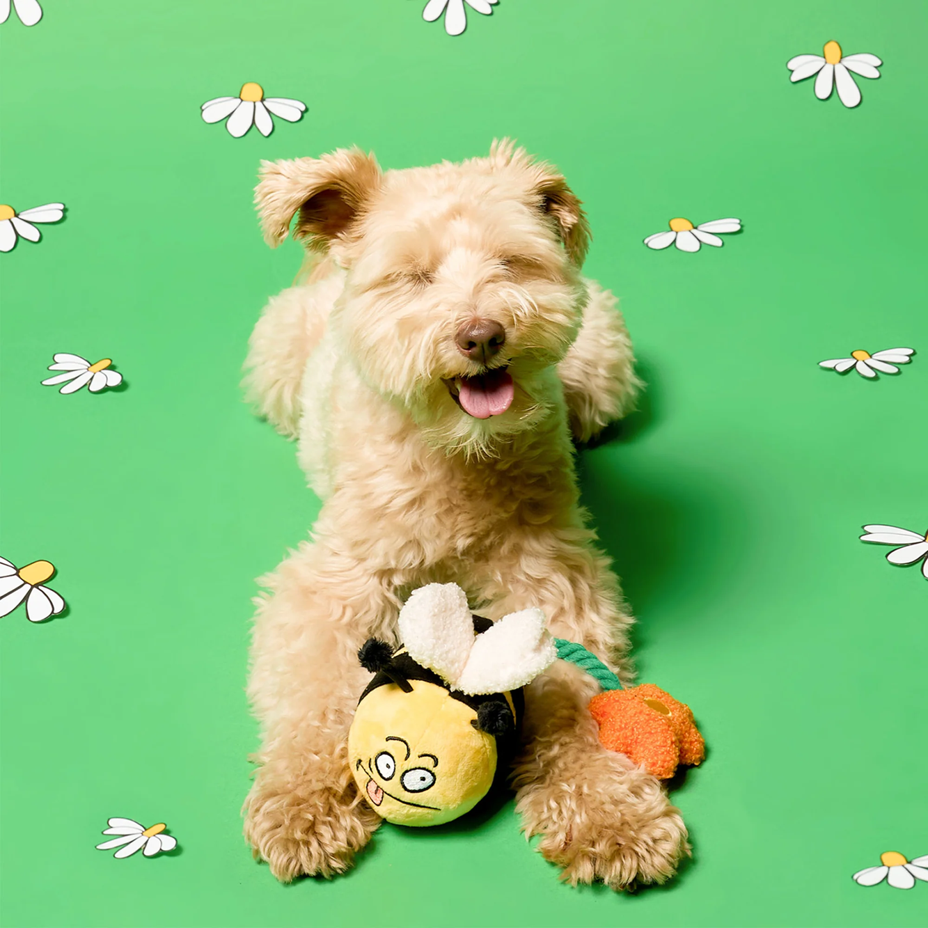 Squeaky Interactive Nosework Dog Toy, Bee Happy