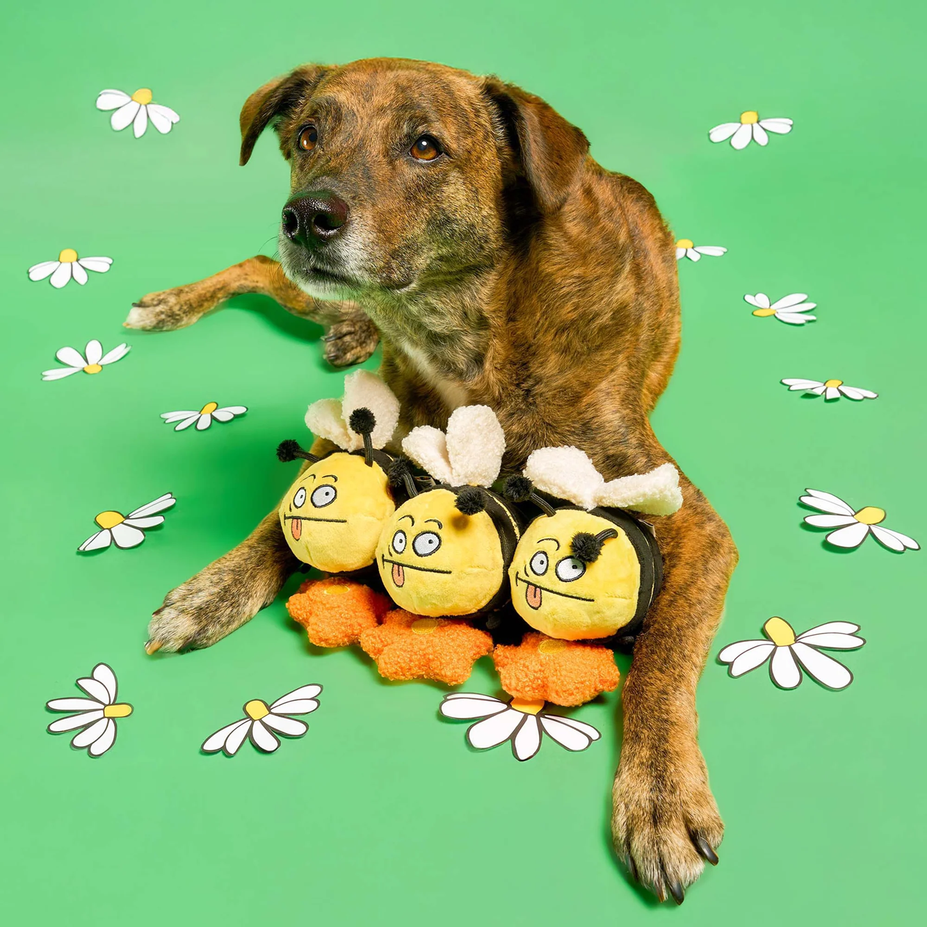 Squeaky Interactive Nosework Dog Toy, Bee Happy