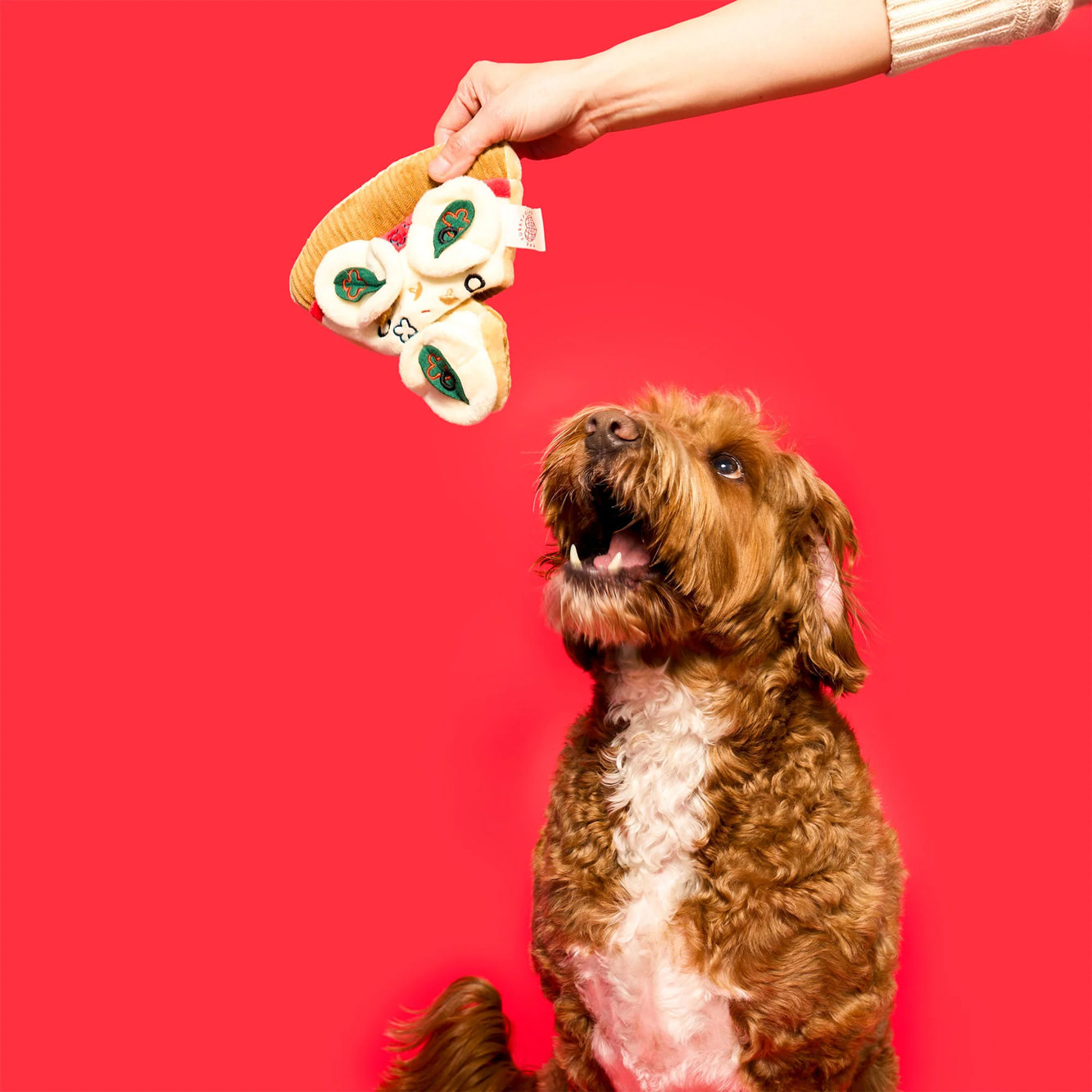 Squeaky Interactive Nosework Dog Toy, Pizza