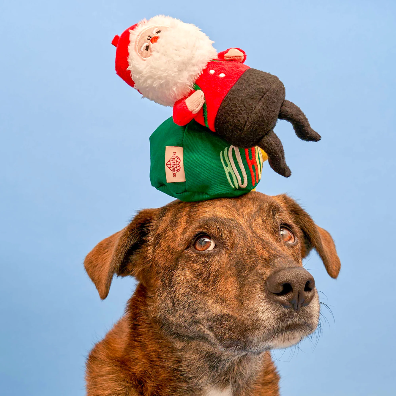 Squeaky Interactive Nosework Dog Toy, Santa Paws