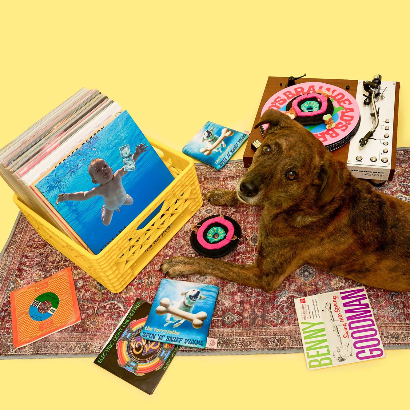 Squeaky Interactive Nosework Dog Toy, Vinyl