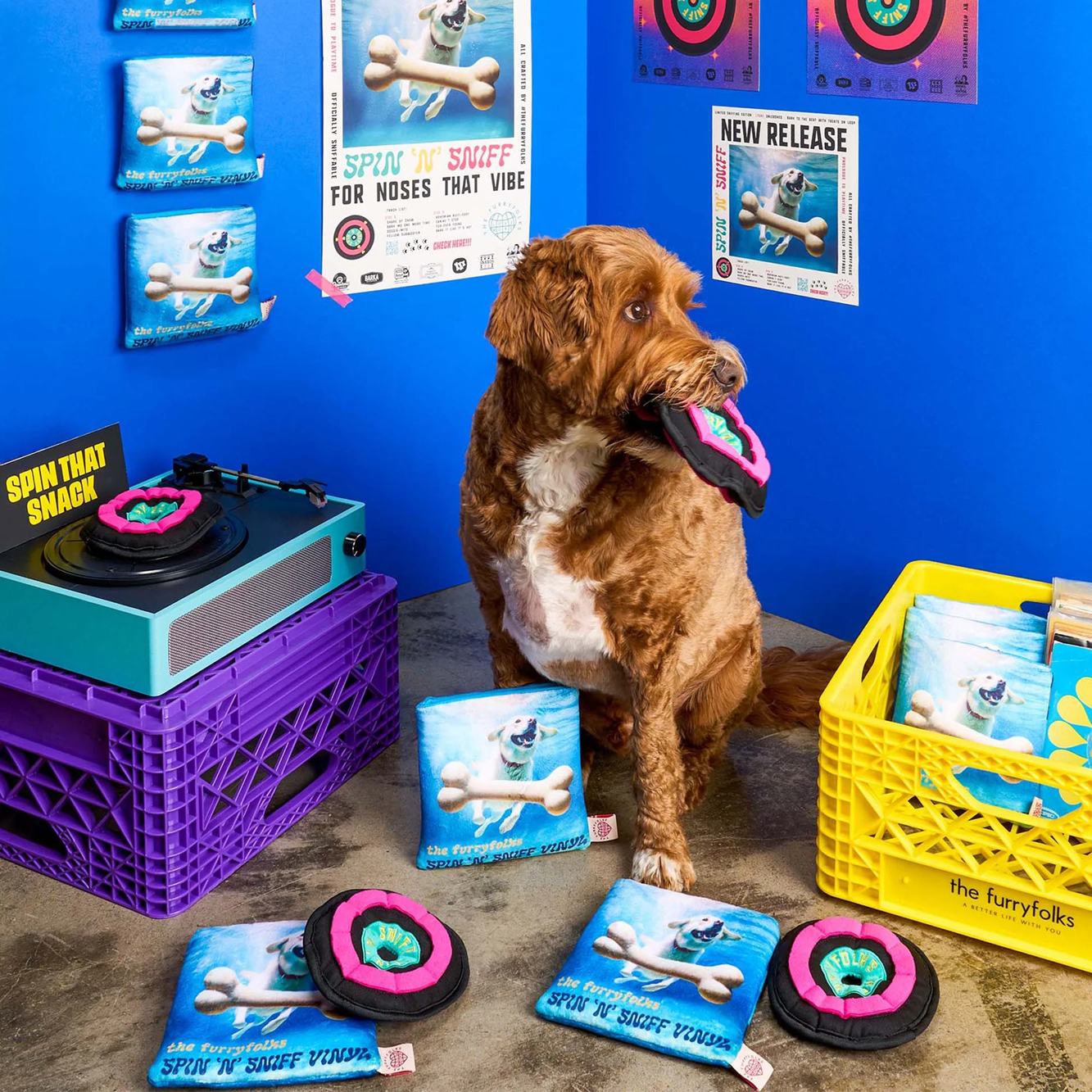 Squeaky Interactive Nosework Dog Toy, Vinyl