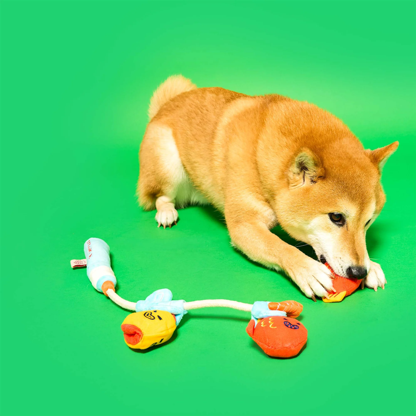 Squeaky Interactive Nosework Rope Pull Dog Toy, Fishing