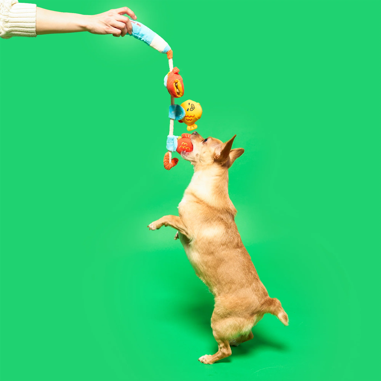 Squeaky Interactive Nosework Rope Pull Dog Toy, Fishing