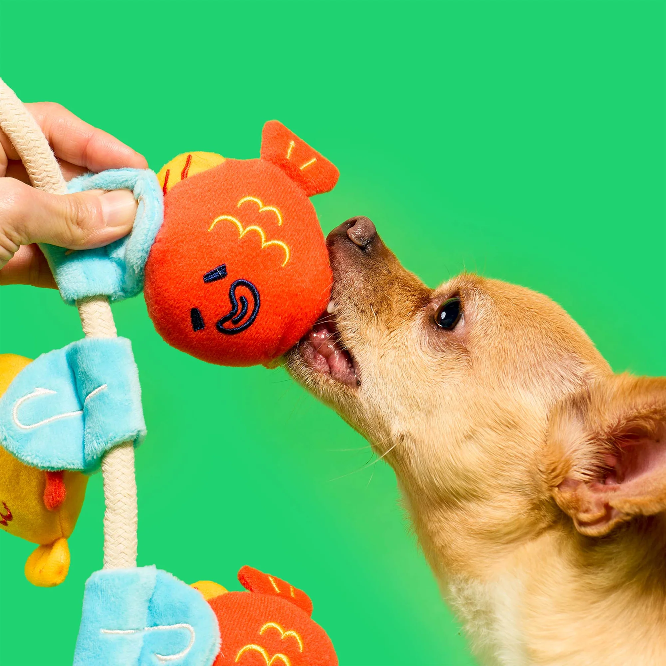 Squeaky Interactive Nosework Rope Pull Dog Toy, Fishing