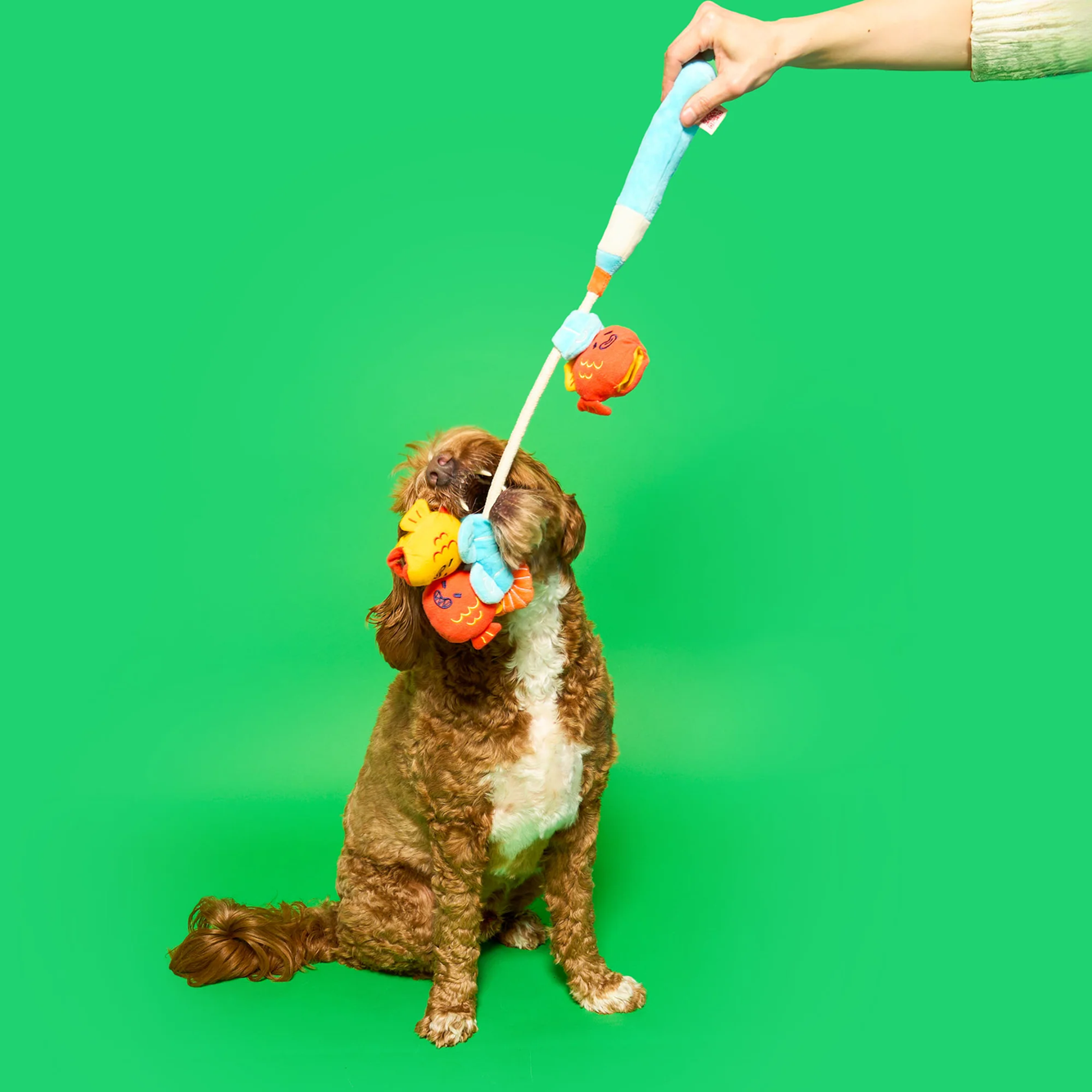 Squeaky Interactive Nosework Rope Pull Dog Toy, Fishing