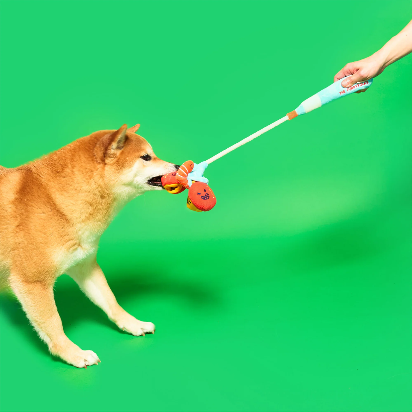 Squeaky Interactive Nosework Rope Pull Dog Toy, Fishing