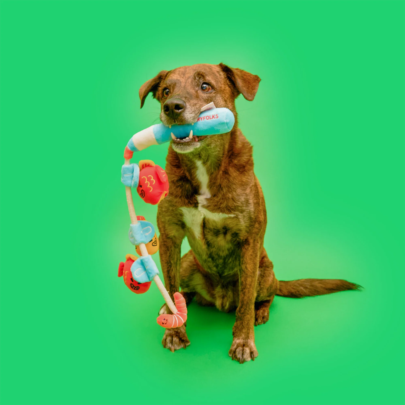 Squeaky Interactive Nosework Rope Pull Dog Toy, Fishing