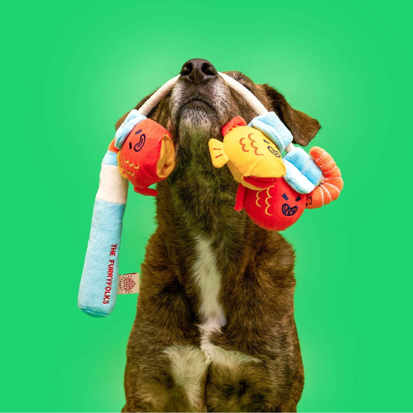 Squeaky Interactive Nosework Rope Pull Dog Toy, Fishing