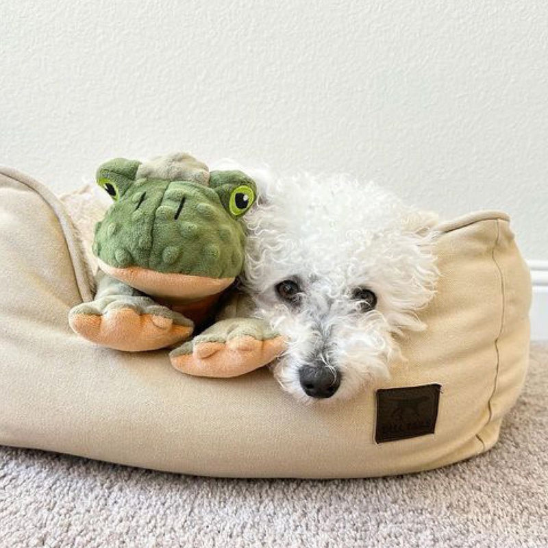 Squeaky Plush Dog Toy: Animated Frog