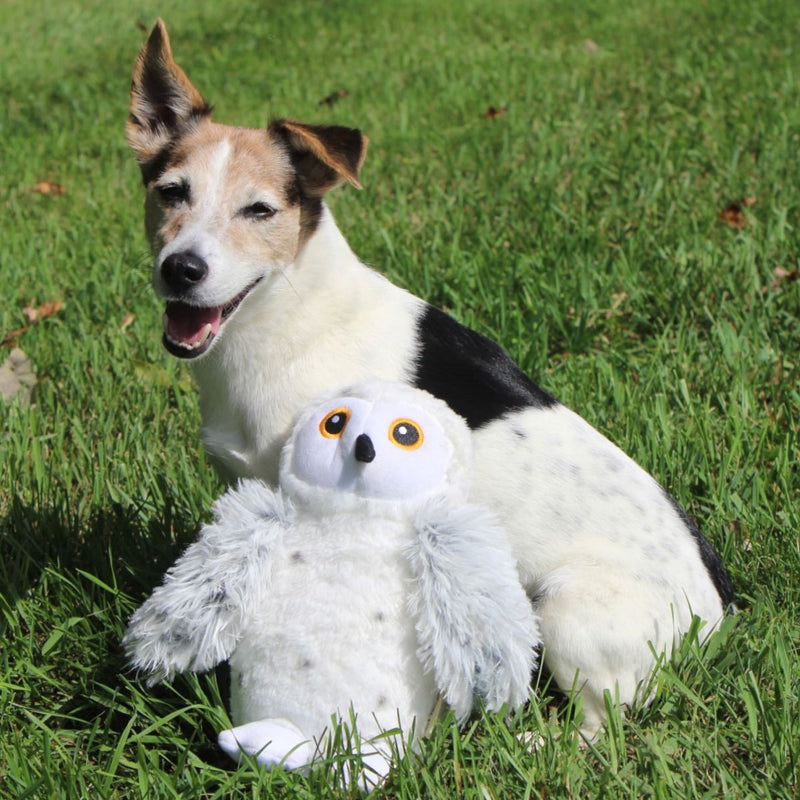 Squeaky Plush Dog Toy: Animated Snow Owl
