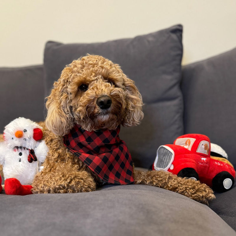 Squeaky Plush Dog Toy: Snowman Pull-Through Rope