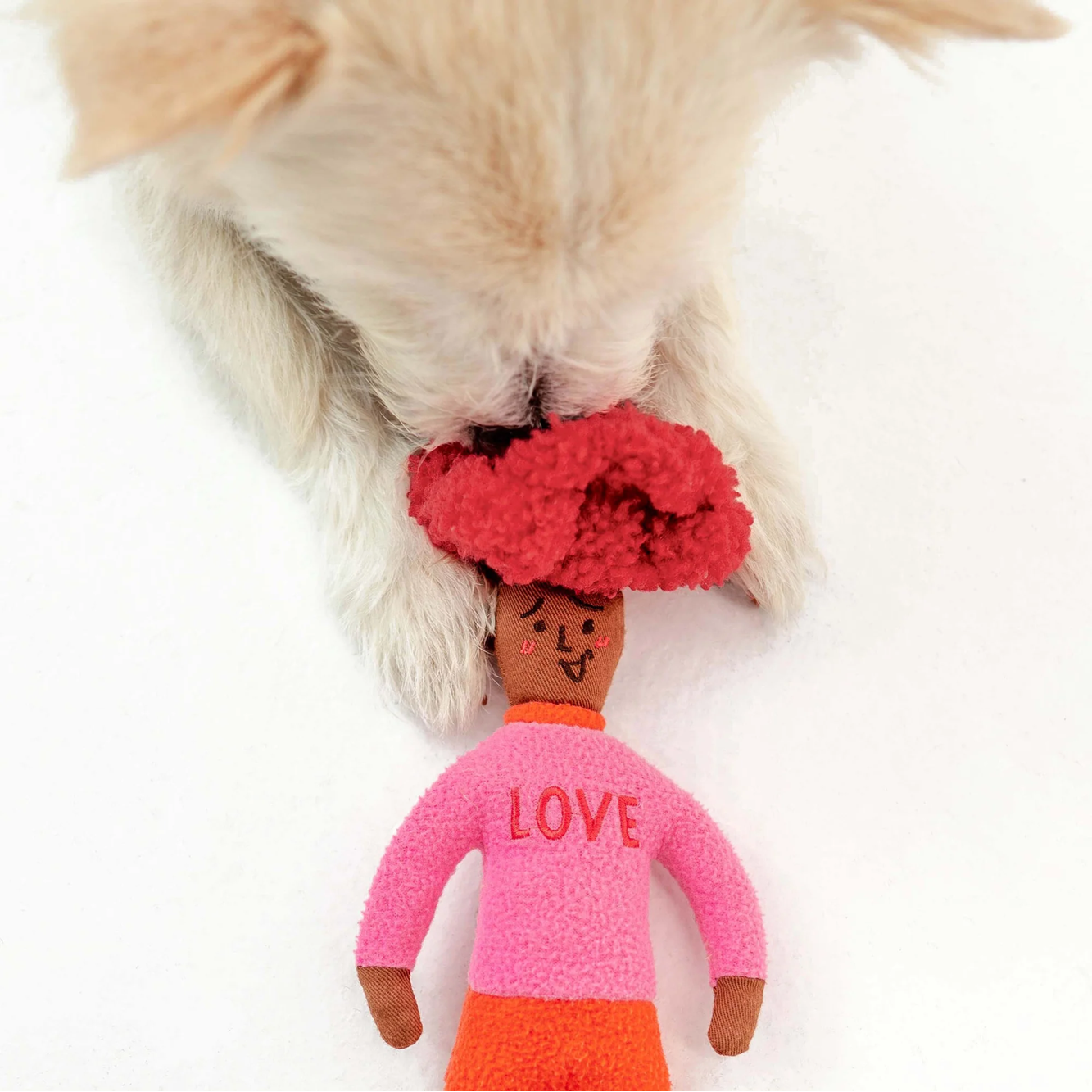 Squeaky Interactive Hooman Nosework Dog Toy, Love