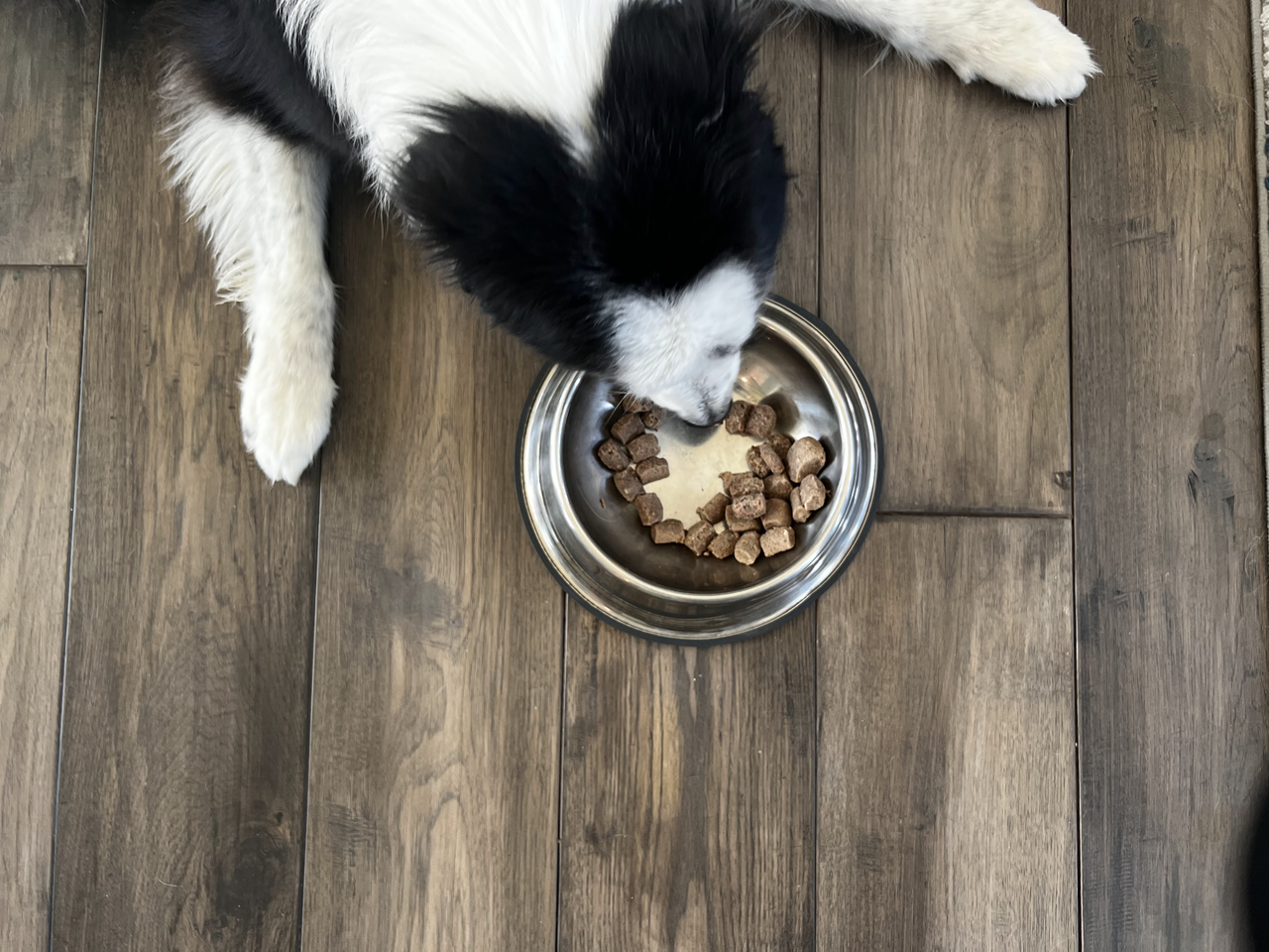 Steve's Real Food Freeze-Dried Raw Dog Food, Chicken Recipe