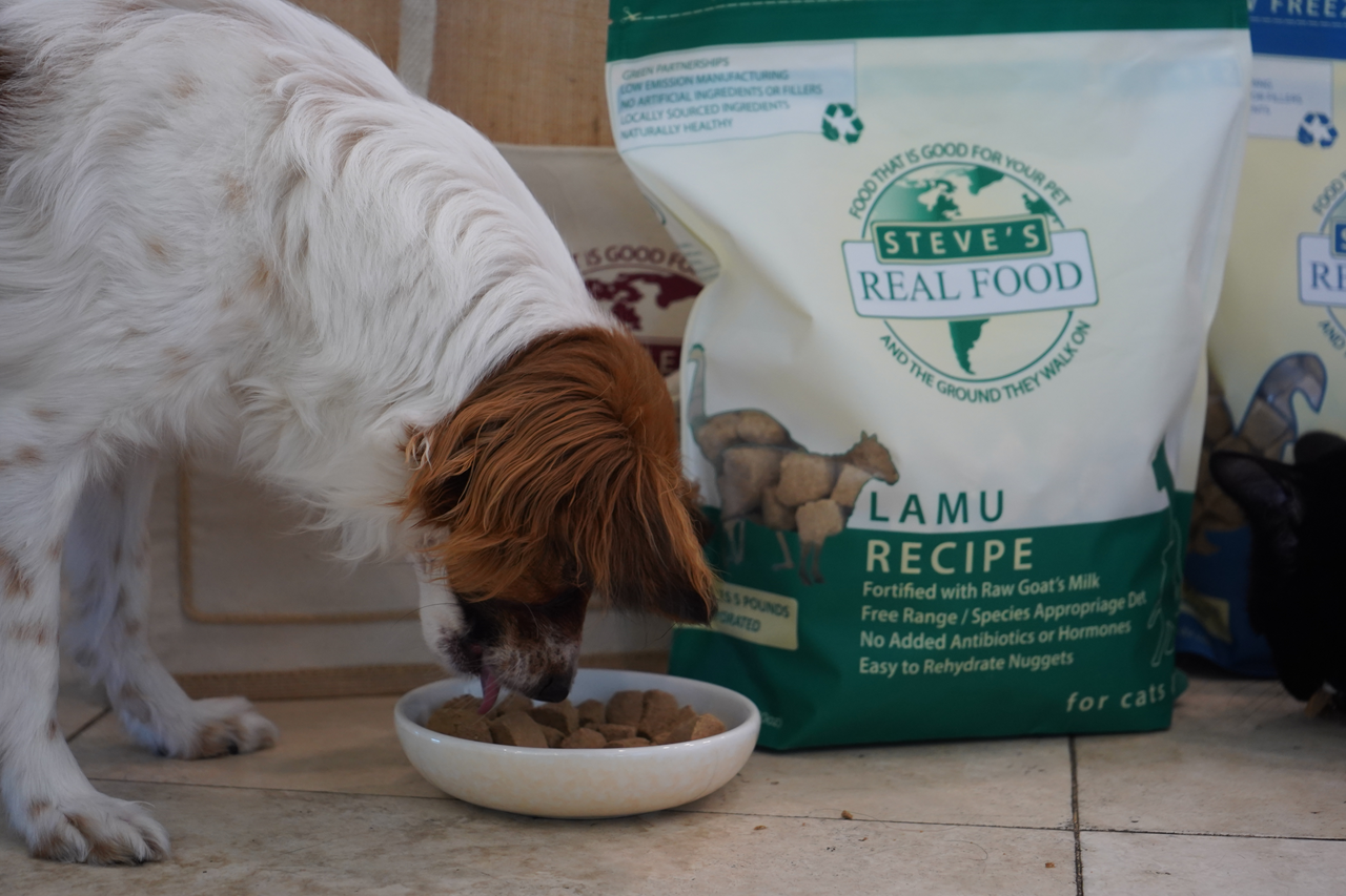 Steve's Real Food Freeze-Dried Raw Dog Food, Lamu Recipe