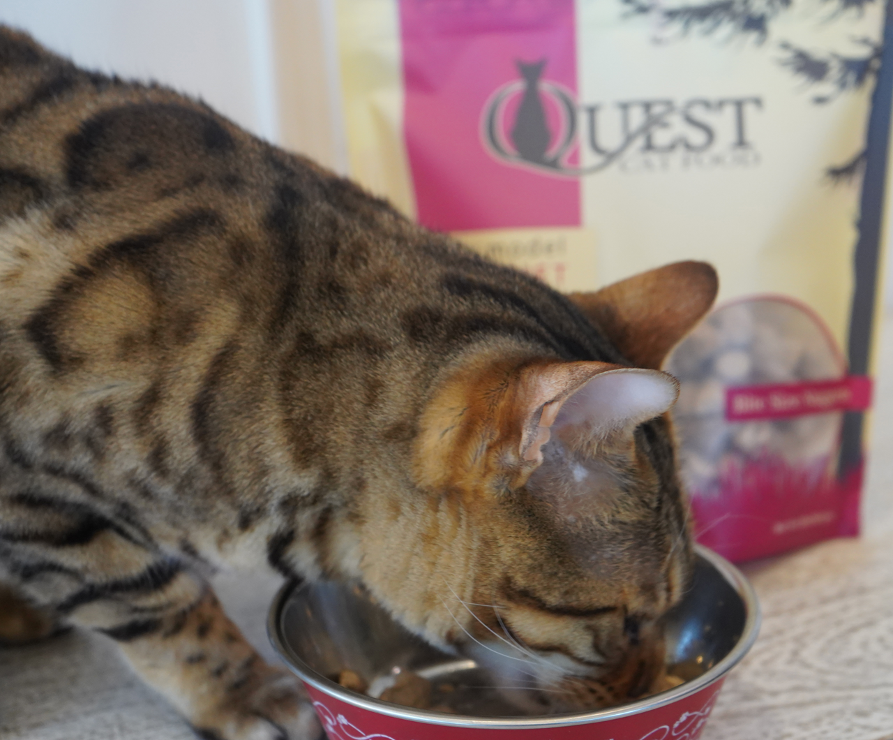 Steve's Real Food Quest Freeze-Dried Raw Cat Food, White Fish Recipe