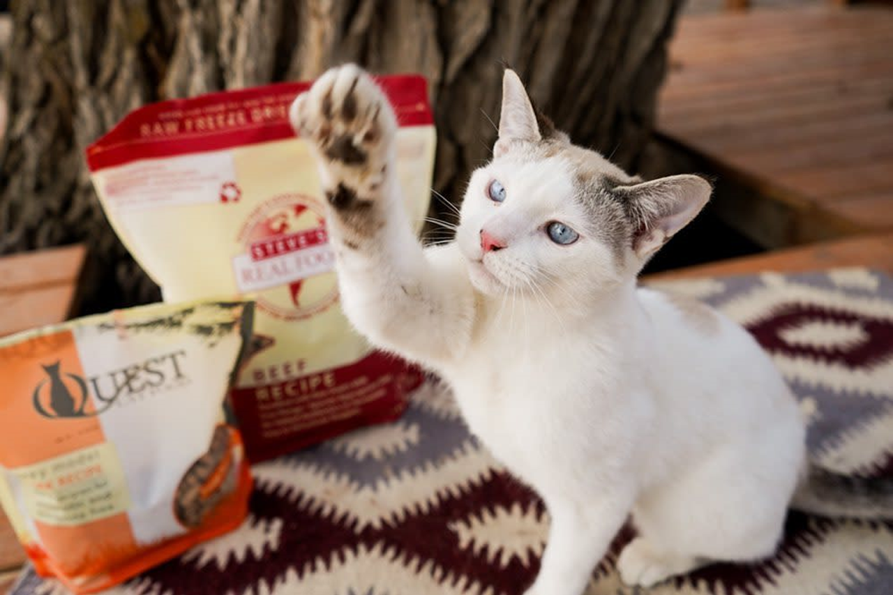 Steve's Real Food Quest Freeze-Dried Raw Cat Food, Pork Recipe