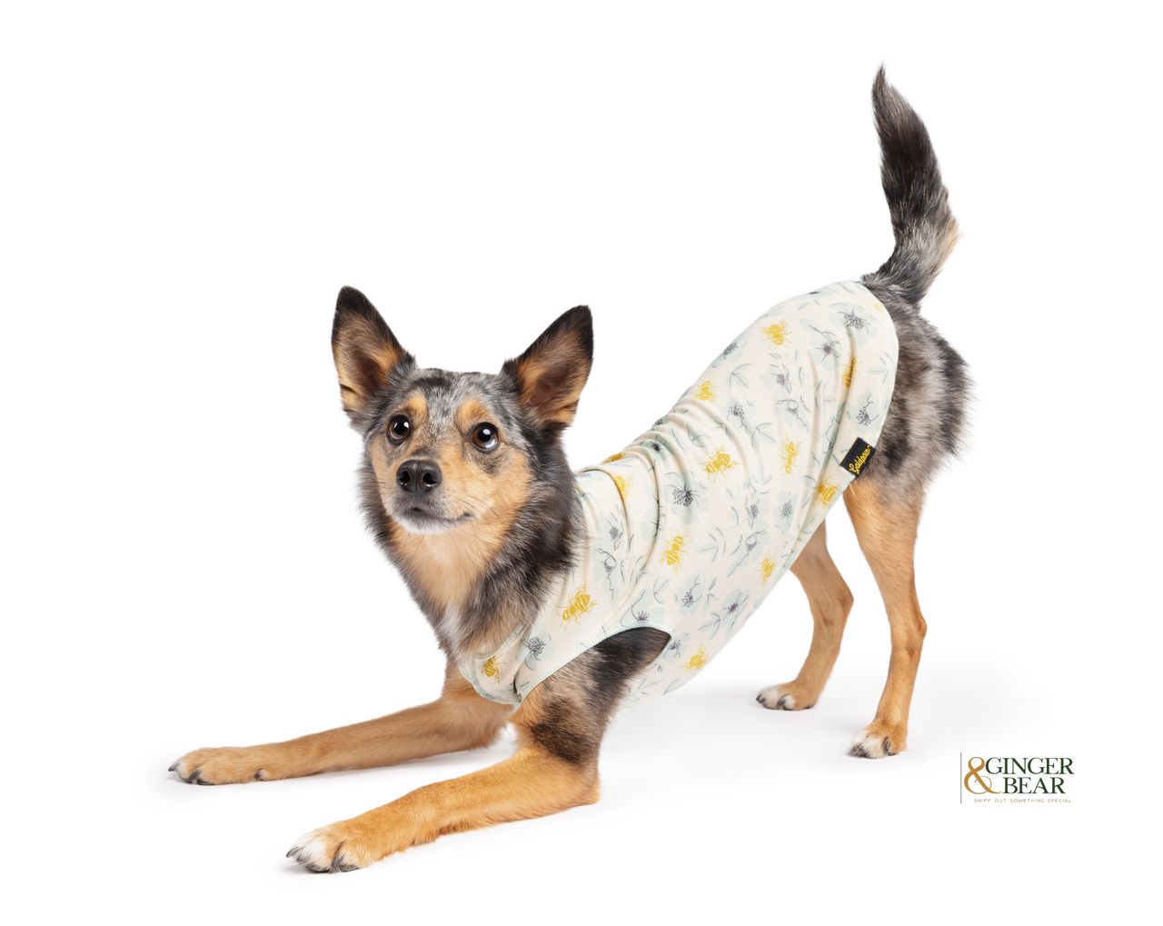 Sun Shield Tee shirts for Dogs and Cats, Vintage Bees (Limited Edition)