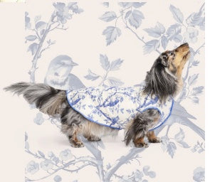 Sun Shield Tee shirts for Dogs and Cats, in Bluebird Toile (Limited Edition)