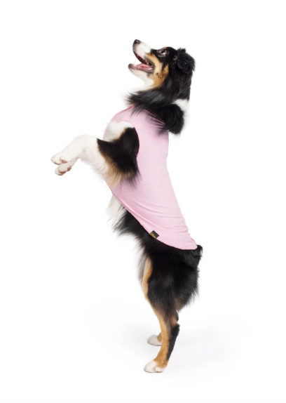 Sun Shield Tee shirts for Dogs and Cats, in Pink Lemonade