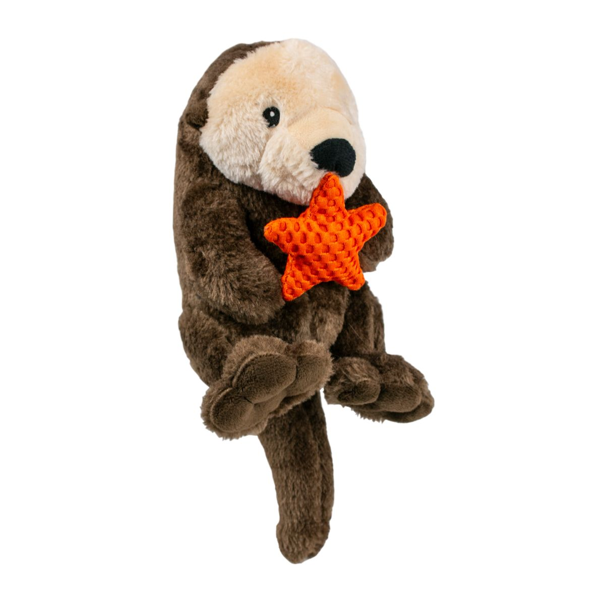 Squeaky Plush Dog Toy: Otter Rope Body