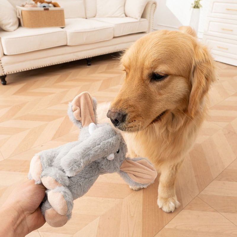 Alert small breed puppy watching the flipper movement of a Tall Tails Animated Elephant interactive squeaky pet toy.