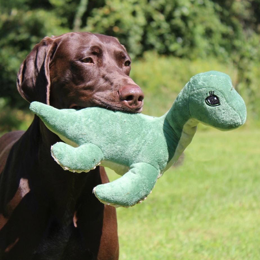 Squeaky Plush Dog Toy Nessie