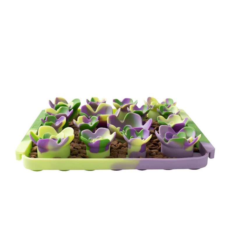 Interactive Food-Grade Foraging Mat for Dogs, Succulent