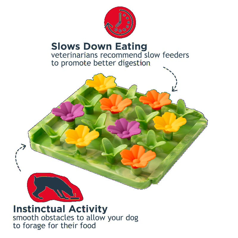 Interactive Food-Grade Foraging Mat for Dogs, Succulent