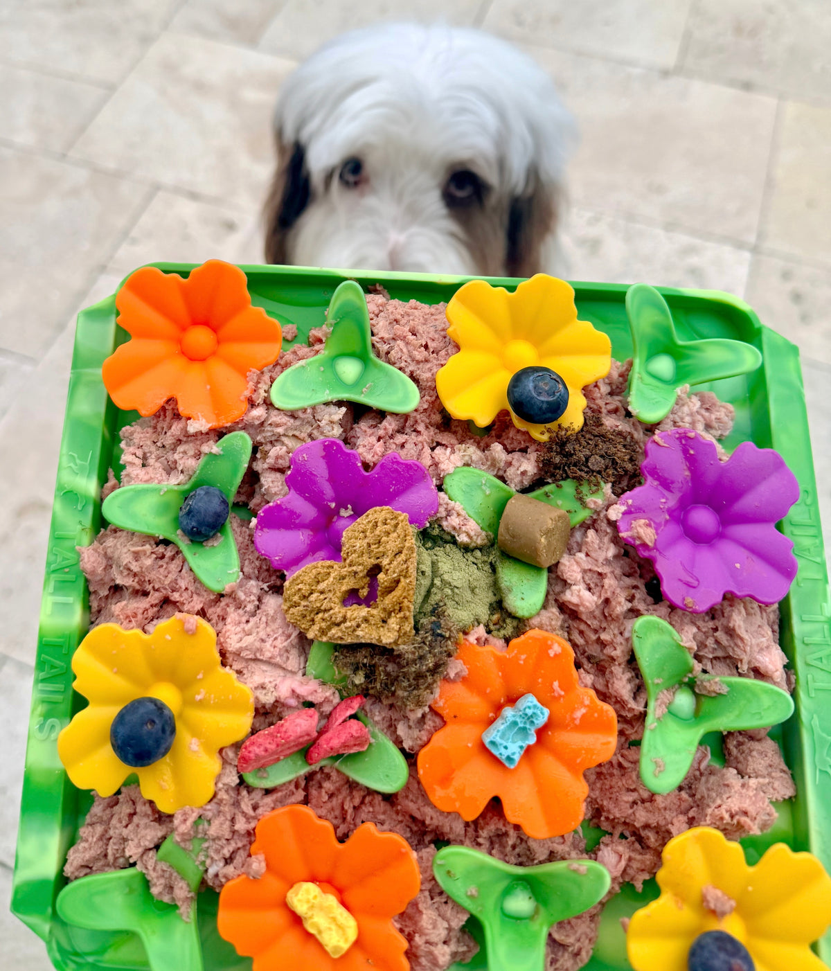 Interactive Food-Grade Foraging Mat for Dogs, Wildflower