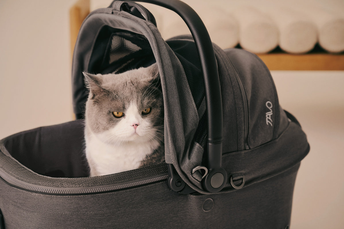 Tavo Pets Maeve ISO Pet Carrier | Crash-Tested ISOFIX 