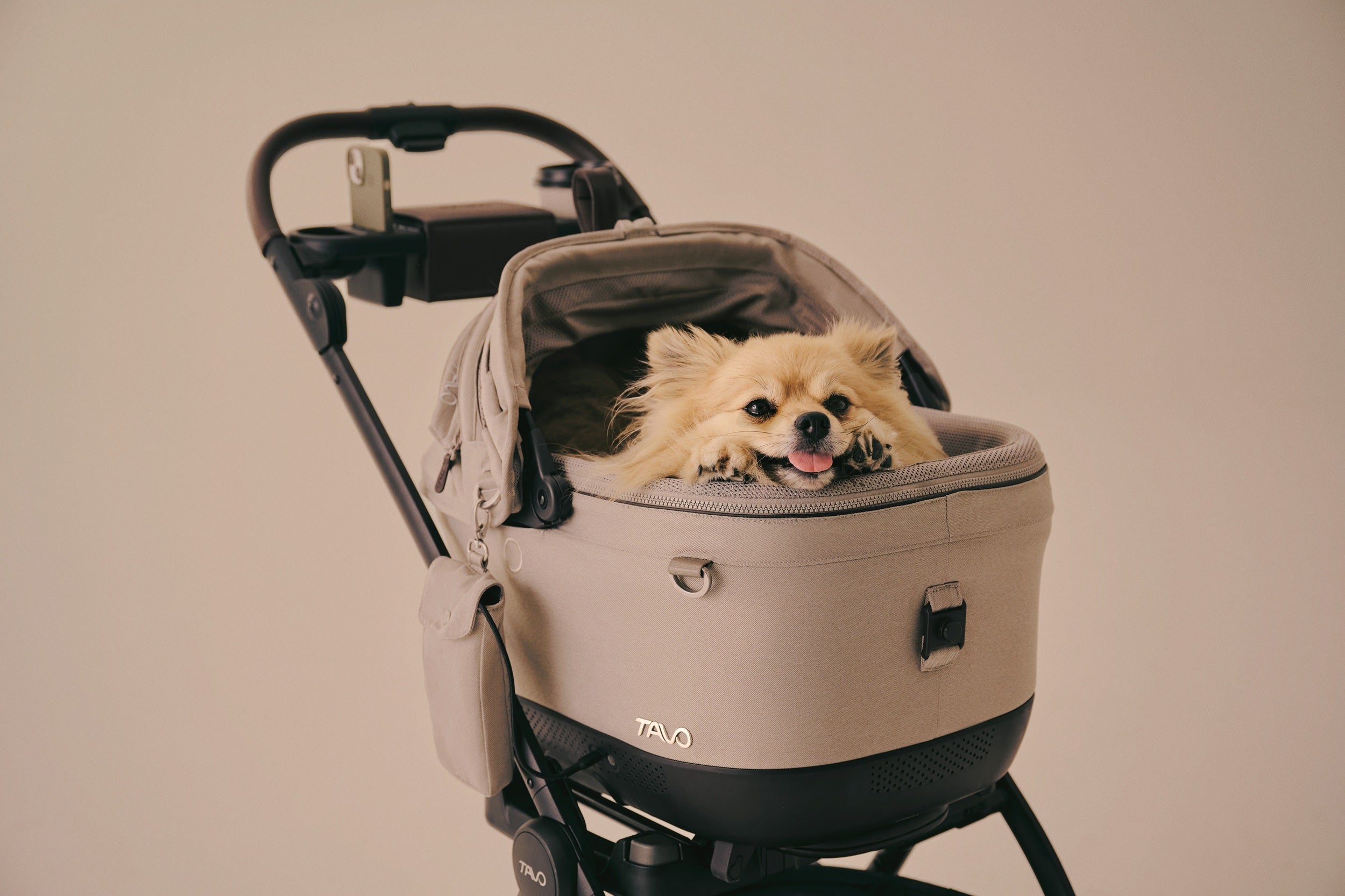 [Pre Order Offer] Tavo Pets Carrier and Safety Car Seat, Maeve ISO Wind in Ashen